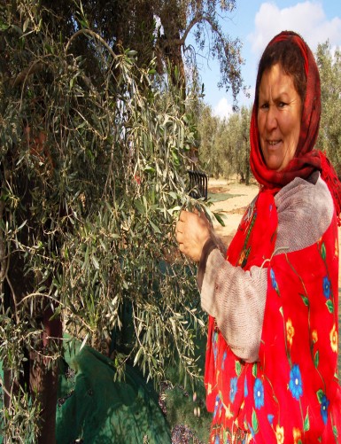 صديقة حجلاوي