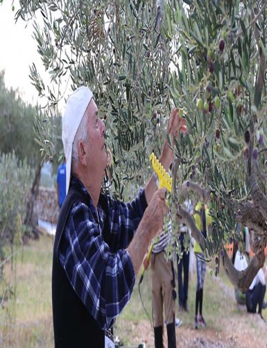 فتح الدين بكار