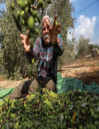 Omor Ben Belgacem Baccar