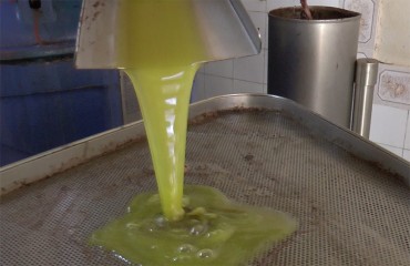 la production traditionnelle de huile d'olive en Tunisie